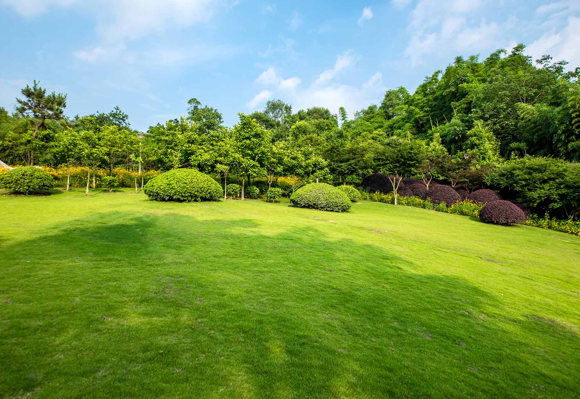 Environment Park